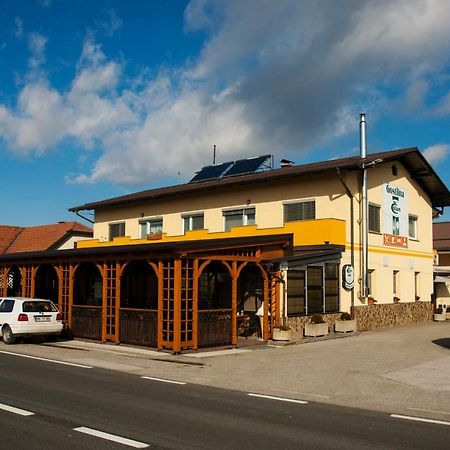 Guest House Celan Spodnja Hajdina Екстериор снимка