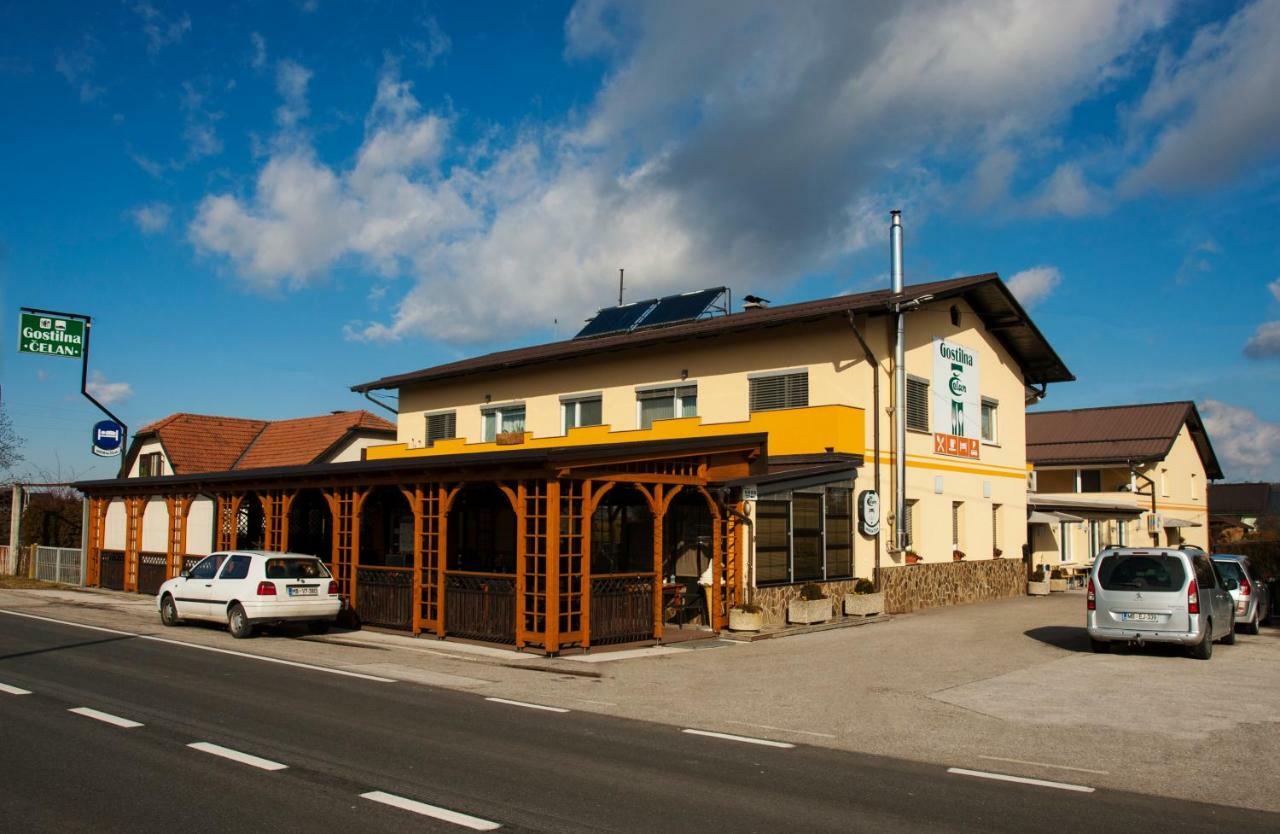 Guest House Celan Spodnja Hajdina Екстериор снимка