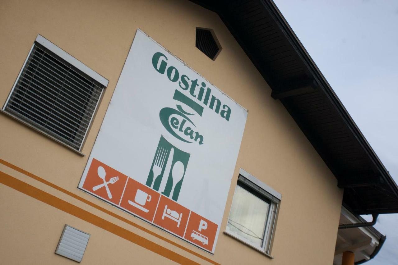 Guest House Celan Spodnja Hajdina Екстериор снимка
