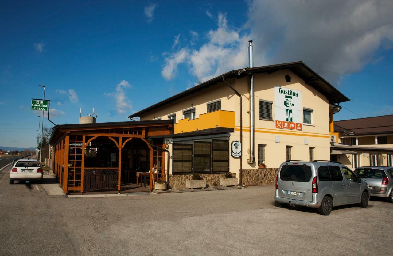 Guest House Celan Spodnja Hajdina Екстериор снимка